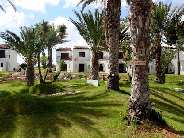 Elia Latchi Holiday Village - Zening Resort