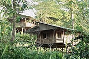 Selva Bananito Lodge