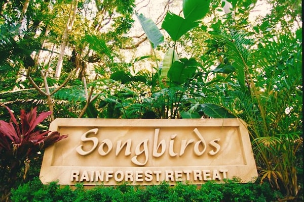 Songbirds Rainforest Retreat