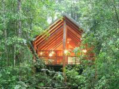 The Canopy Rainforest Treehouses & Wildlife Sanctuary