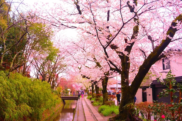 Hotel Aru Kyoto Sanjo Kiyamachi Do-ri