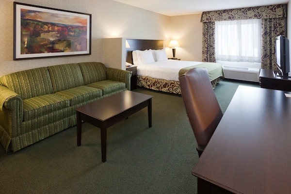Holiday Inn Express & Suites Minneapolis-Dwtn Conv Ctr