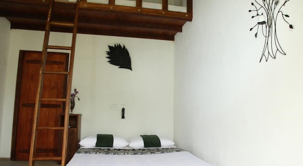 Sinharaja Forest Edge Guest House