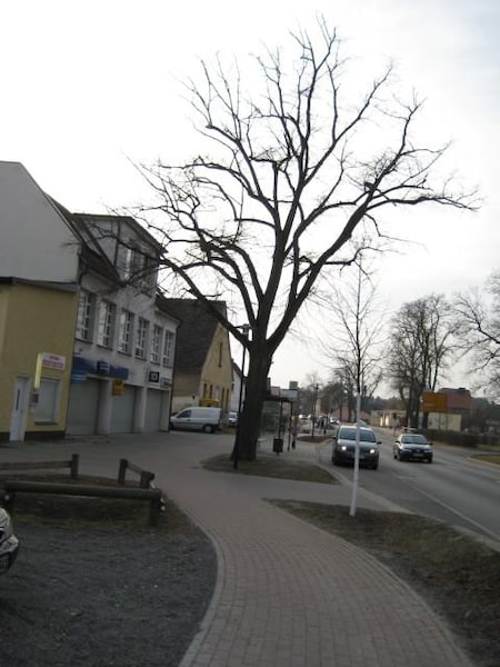 Hotel Zum Fröhlichen Landmann