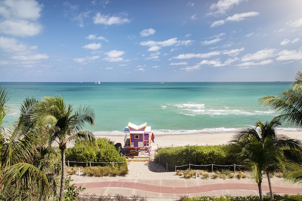 The Mimosa Hotel Miami Beach