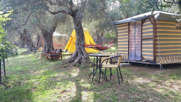 Olive Tree Glamping Tents