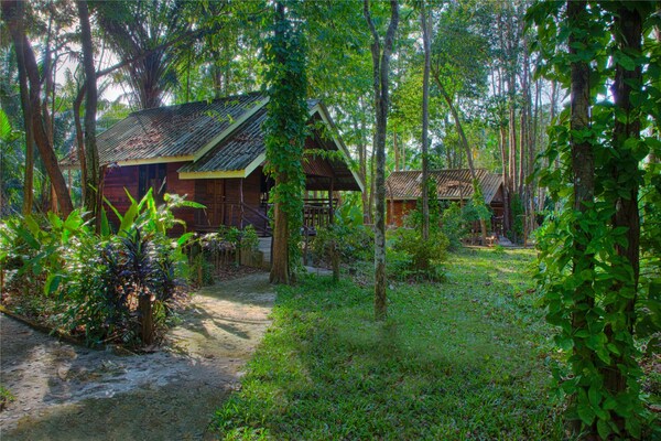 Khao Sok Riverside Cottages