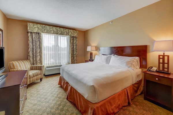 Holiday Inn Express Hotel & Suites Tampa-Usf-Busch Gardens, An Ihg Hotel