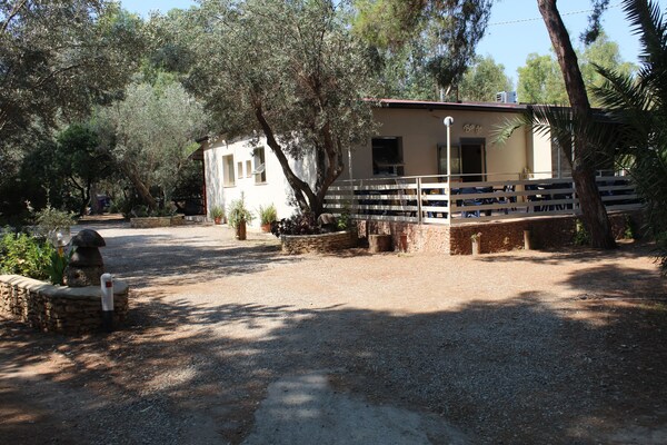 Camping Fico D'India