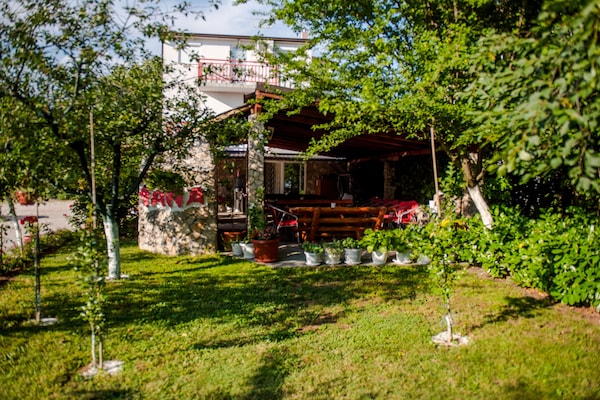 Family Guesthouse In Forest Ana & Stjepan Nikolic