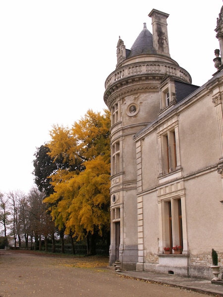 Château De La Court Daron