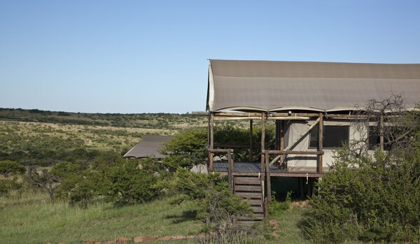 Springbok Lodge