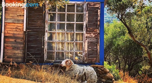 Cretan Olives Farm Retrait