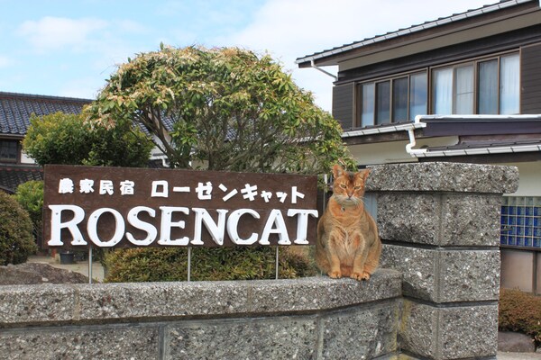 Rosencat
