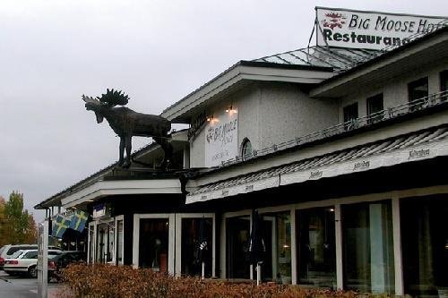Big Moose Hotell & Vandrarhem