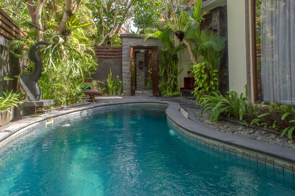 The Bali Dream Villa At Canggu