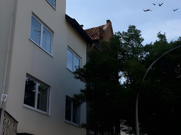 Apartment Hildesheim