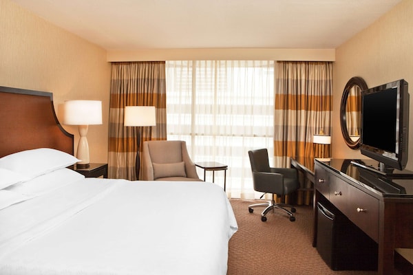 Hotel Rooms in Midtown Atlanta | The Starling Atlanta