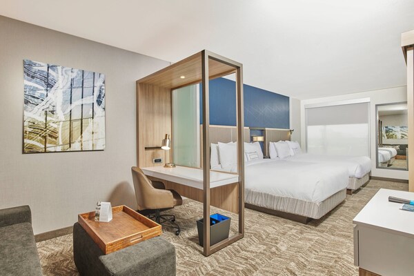 Springhill Suites By Marriott Chicago Chinatown