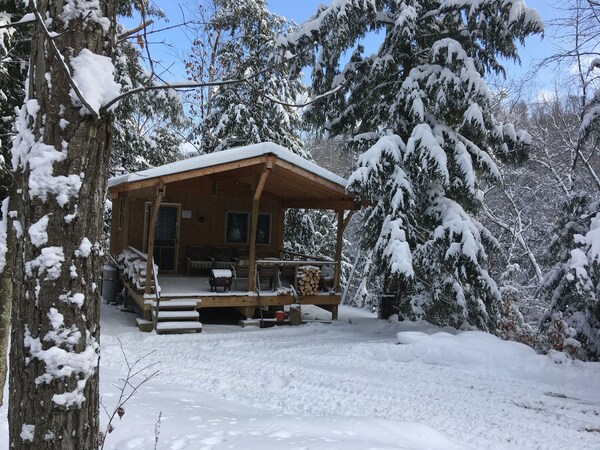 Cabin Creek Hide-away 100 Acre Forest Property!