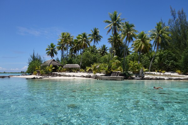 Tahiti Sail And Dive