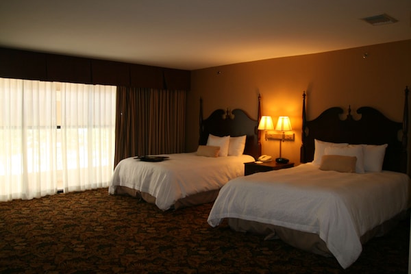 Hotel Hampton Inn & Suites Del Rio