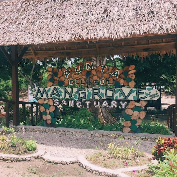 Punta Del Sol Mangrove Sanctuary