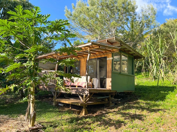 Bamboo Cabin