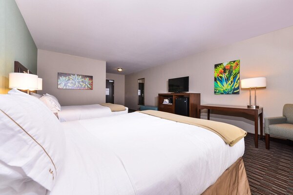 Holiday Inn Express & Suites Indio - Coachella Valley, An Ihg Hotel