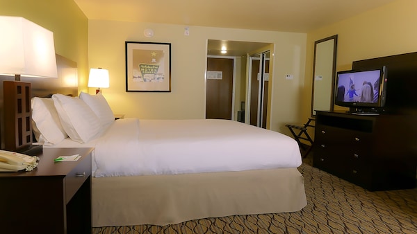 Holiday Inn - Fort Myers - Downtown Area, An Ihg Hotel