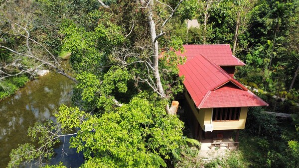 Art'S Riverview Jungle Lodge