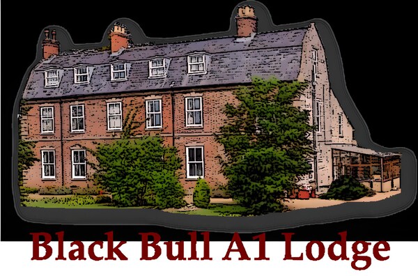 Black Bull A1 Lodge