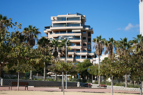 Canaima Alicante
