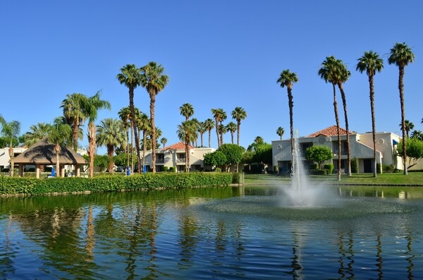 Palm Desert 2 BR w/ Pool, Jacuzzi, Grills, Fitness Center & More!